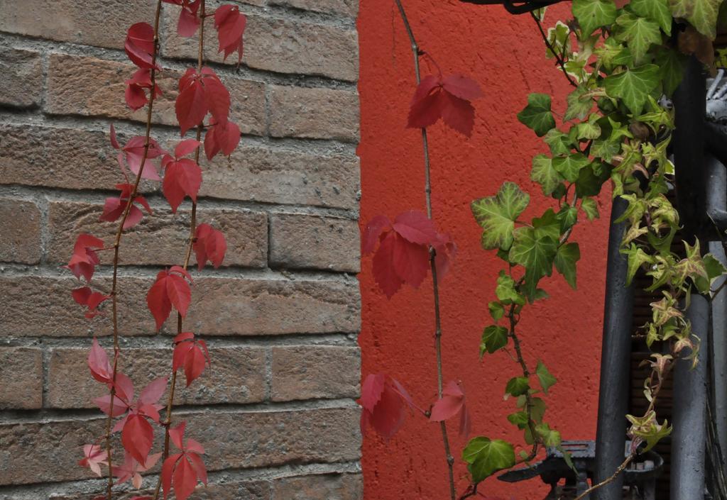 B&B Edera Castagnole Piemonte 외부 사진
